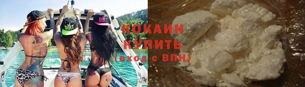apvp Гусев