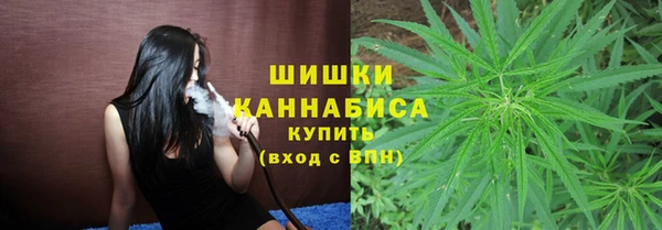 spice Медногорск