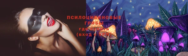 spice Медногорск