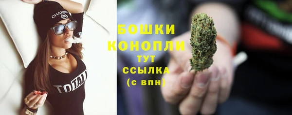 spice Медногорск