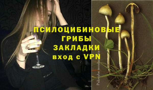 мдпв Пролетарск