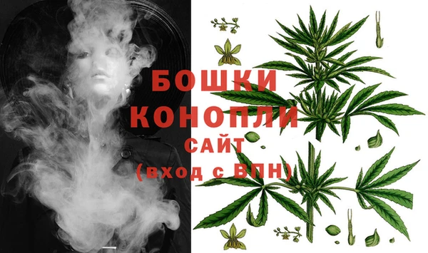 spice Медногорск