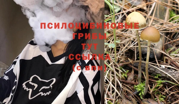 spice Медногорск